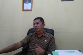 Sudah seluas ini, lahan pertanian padi di Limapuluh Kota yang telah diasuransikan