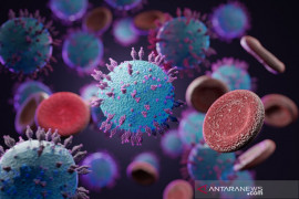 Virus corona varian Mu belum terdeteksi di Indonesia
