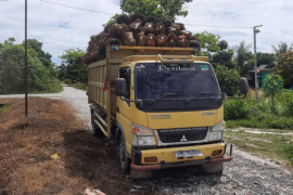 Petani di Kampar tangkap truk bawa sawit