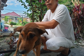 Riau gelar bulan gratis suntik vaksin rabies untuk hewan