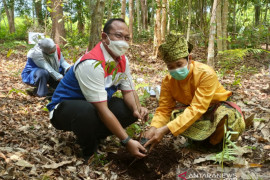 Berwisata sambil belajar di Arboretum Gambut Marsawa