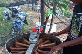 Peternak lebah Muarojambi kembangkan madu lebah "Apis Mellifera"