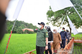 Dari 434 kabupaten, Bengkalis peringkat 22 nasional IDM