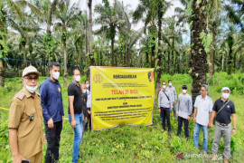 Polda Kalsel sita pabrik serta kebun sawit PT LSI