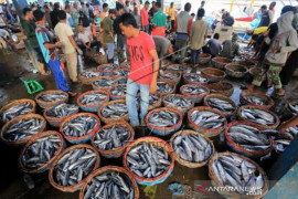 Potensi Perikanan Aceh