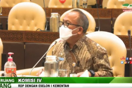 Kementan menyiapkan DAK fisik Rp2,2 triliun bangun pertanian daerah