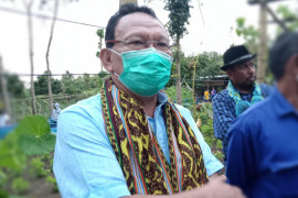 Pemkab Kupang bangun 100 lokasi agrowisata