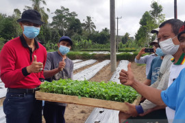 Pemkab Badung antisipasi kelangkaan-kenaikan harga cabai