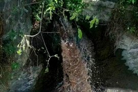 Pencemaran Bengawan Solo berasal dari limbah industri ciu
