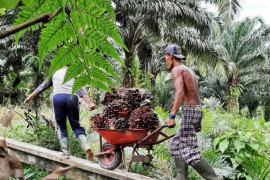 Gapki terus gaungkan sawit berkelanjutan untuk kesejahteraan dan lingkungan
