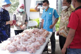 Harga telur ayam ras turun, peternak di Magetan merugi