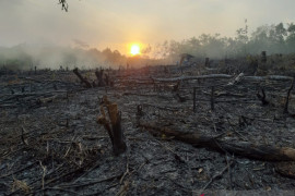 Karhutla di OKU Sumatera Selatan capai 25,8 hektare selama Juni-Juli 2021