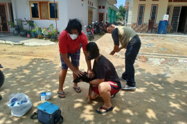 Pekanbaru laporkan lima orang positif tergigit hewan rabies