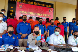 Polisi tangkap 11 pelaku terlibat kematian lima ekor gajah di Aceh Jaya