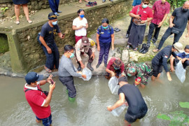 Selama 2021, Dinas Perikanan Badung tebar 1,7 juta benih ikan