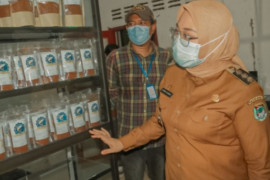 UNDP bantu pelaku usaha abon ikan di Mamuju Sulbar
