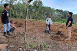 Melalui aspirasi dewan politisi muda ini geliatkan budidaya porang