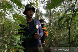 Illegal hunting prevention in Baluran National Park