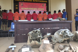 Kejari terima berkas pembunuh lima ekor Gajah di Aceh Jaya