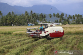 Badan Karantina Pertanian Gorontalo dorong hilirisasi komoditas