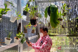 Ketua PAI Babel apresiasi berdirinya Griya Anggrek RRI