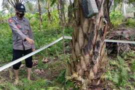 Petani sawit ditemukan tewas dengan tubuh hangus terbakar