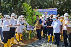Vaksinasi COVID-19 dan peremajaan sawit dilakukan bersamaan di Kotabaru