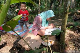 Terpaksa belajar di perkebunan secara daring karena sulit jaringan internet