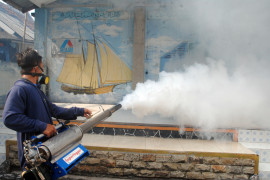 Entomolog Kesehatan jelaskan potensi dan pencegahan DBD di Kota Bogor