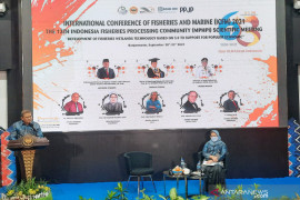 ULM kembangkan sektor perikanan dukung ekonomi kerakyatan