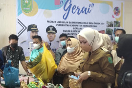 Bupati Rezita Meylani luncurkan dua aplikasi baru