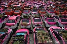 Aksi tanam sayuran dan buah di atap taksi tak terpakai akibat krisis bisnis Thailand