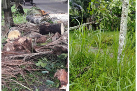 Hujan deras dan angin kencang landa Kecamatan Stabat