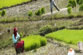 DPRA finalkan raqan perlindungan lahan pertanian dan pangan berkelanjutan