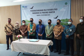 Pemerintah Indonesia galakkan program "Mangrove Blue Carbon"