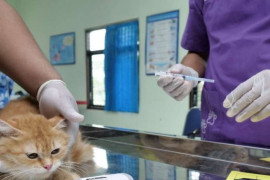 DPKP Kota Madiun beri vaksin rabies gratis hewan piaraan warga