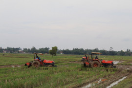 Penyuluh pertanian berharap petani Lampung lebih mapan