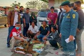 Petugas gabungan tangkap penjual kulit harimau