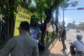 Satpol PP Kota Denpasar copot baliho langgar aturan