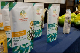 Dishut : Agroforestry beri nilai tambah pada produk hutan