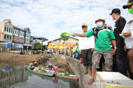 Satu juta anak ikan Papuyu ditebar di Sungai Veteran Banjarmasin