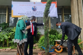 Menteri Inovasi dan Teknologi Ethiopia tanam pohon di KBRI Addis Ababa