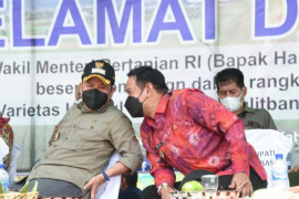 100 hari memimpin, pasangan Satono - Rofi hadirkan berobat gratis