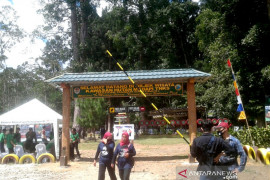 Saving the world's oxygen source from fading away