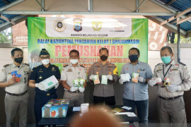 Balai Karantina Banjarmasin musnahkan benih impor ilegal dari tujuh negara