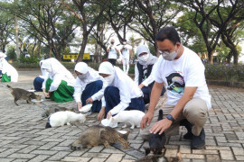 Peringati Hari Rabies, Anies beri makan kucing liar di Ancol