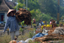 BPS: Hari Statistik Nasional momentum melakukan transformasi