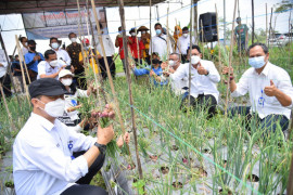 Wakil Bupati Sleman panen perdana bawang merah lokananta dan ayam joper