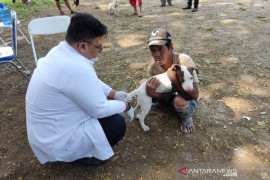 Garut vaksinasi hewan peliharaan untuk cegah bahaya rabies