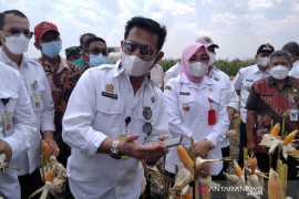 Mentan: Kredit macet KUR  sektor pertanian hanya 0,03 persen